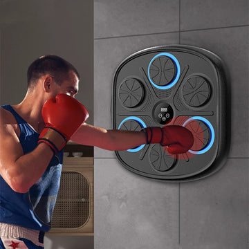 Boxing Target Training Equipment